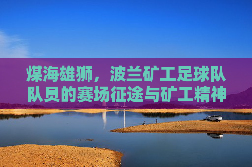 煤海雄狮，波兰矿工足球队队员的赛场征途与矿工精神传承