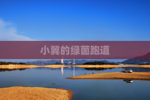 小翼的绿茵跑道