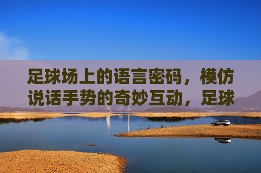足球场上的语言密码，模仿说话手势的奇妙互动，足球场上的语言密码，模仿说话手势的奇妙互动