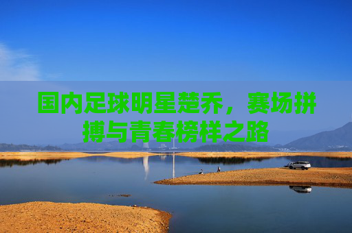 国内足球明星楚乔,赛场拼搏与青春榜样之路