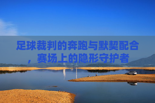 足球裁判的奔跑与默契配合,赛场上的隐形守护者