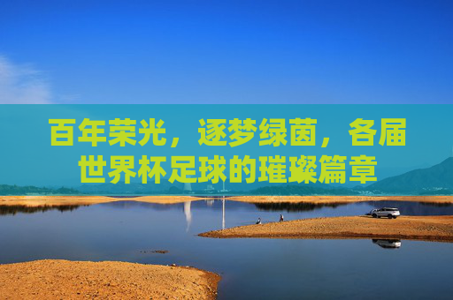 百年荣光,逐梦绿茵,各届世界杯足球的璀璨篇章