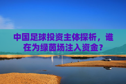 中国足球投资主体探析，谁在为绿茵场注入资金？