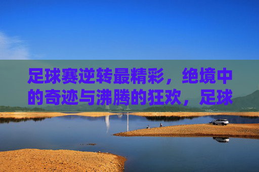 足球赛逆转最精彩,绝境中的奇迹与沸腾的狂欢,足球赛逆转,绝境中的奇迹与沸腾狂欢