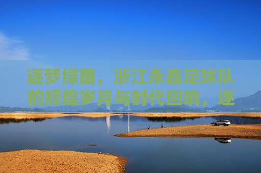 逐梦绿茵，浙江永昌足球队的辉煌岁月与时代回响，逐梦绿茵，浙江永昌足球队的辉煌岁月与时代回响