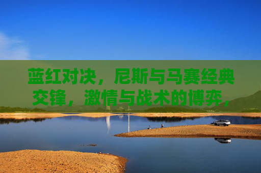 蓝红对决,尼斯与马赛经典交锋,激情与战术的博弈,蓝红对决,尼斯与马赛经典交锋的激情与战术博弈