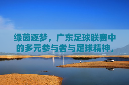绿茵逐梦,广东足球联赛中的多元参与者与足球精神,绿茵逐梦,广东足球联赛中的多元参与者与足球精神