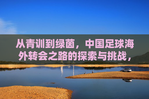 从青训到绿茵，中国足球海外转会之路的探索与挑战，从青训到绿茵，中国足球海外转会之路的探索与挑战