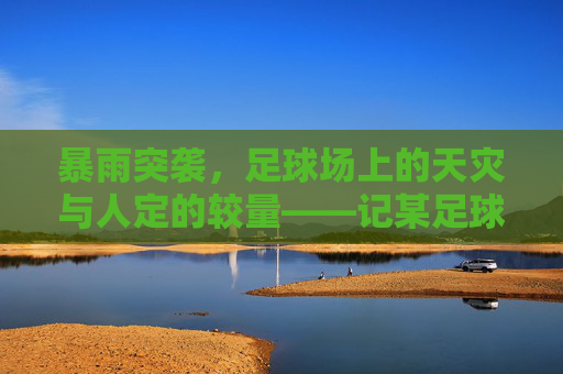暴雨突袭，足球场上的天灾与人定的较量——记某足球比赛遇强降雨的惊险瞬间，暴雨突袭，足球场上的天灾与人定的较量——记某足球比赛遇强降雨的惊险瞬间