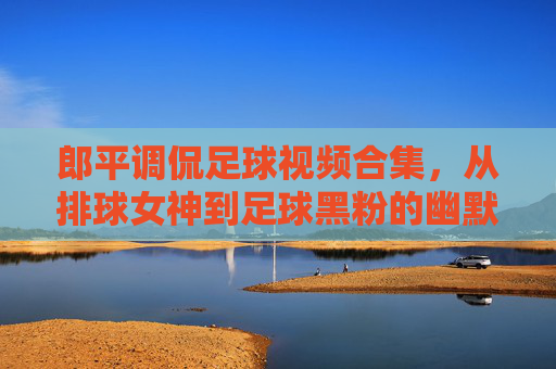 郎平调侃足球视频合集，从排球女神到足球黑粉的幽默碰撞与体育共鸣，郎平调侃足球视频合集，从排球女神到足球黑粉的幽默碰撞与体育共鸣