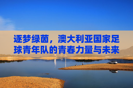 逐梦绿茵，澳大利亚国家足球青年队的青春力量与未来图景，逐梦绿茵，澳大利亚国家足球青年队的青春力量与未来图景