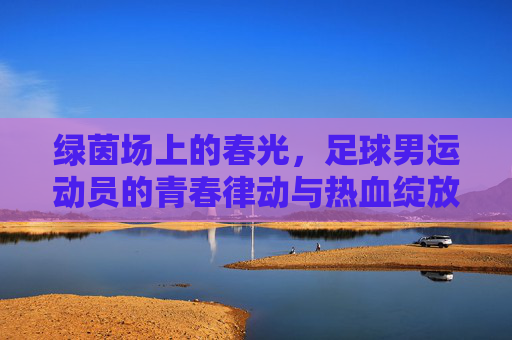 绿茵场上的春光,足球男运动员的青春律动与热血绽放,绿茵场上的春光,足球男运动员的青春律动与热血绽放