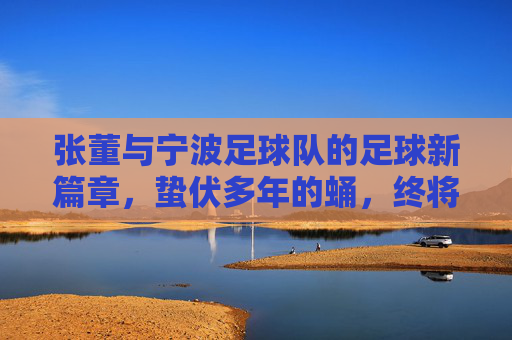 张董与宁波足球队的足球新篇章，蛰伏多年的蛹，终将破茧成蝶，张董与宁波足球队共启足球新篇章，蛰伏多年的蛹，终将破茧成蝶