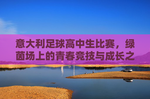 意大利足球高中生比赛，绿茵场上的青春竞技与成长之路