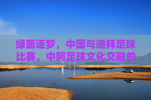 绿茵逐梦,中国与迪拜足球比赛,中阿足球文化交融的精彩篇章