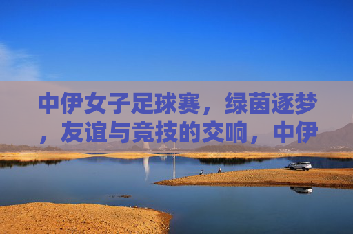 中伊女子足球赛，绿茵逐梦，友谊与竞技的交响，中伊女子足球赛，绿茵逐梦，友谊与竞技的交响
