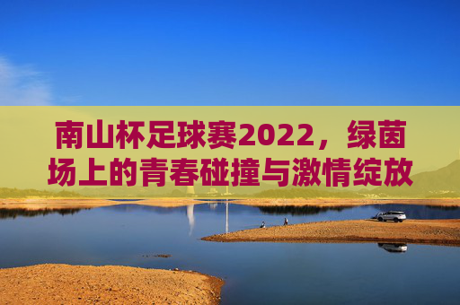 南山杯足球赛2022，绿茵场上的青春碰撞与激情绽放——记年度经典赛事的精彩回眸，南山杯足球赛2022，绿茵场上的青春碰撞与激情绽放——记年度经典赛事的精彩回眸