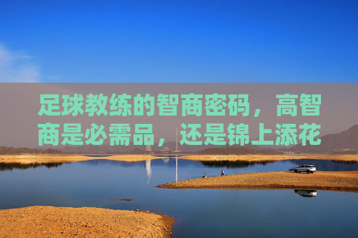 足球教练的智商密码,高智商是必需品,还是锦上添花?足球教练的智商密码,高智商是必需品还是锦上添花?