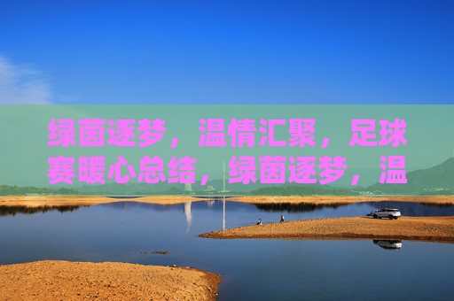 绿茵逐梦,温情汇聚,足球赛暖心总结,绿茵逐梦,温情汇聚,足球赛暖心总结