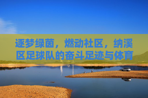 逐梦绿茵，燃动社区，纳溪区足球队的奋斗足迹与体育精神，逐梦绿茵，燃动社区，纳溪区足球队的奋斗足迹与体育精神