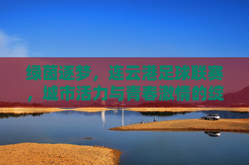 绿茵逐梦,连云港足球联赛,城市活力与青春激情的绽放,绿茵逐梦,连云港足球联赛绽放城市活力与青春激情