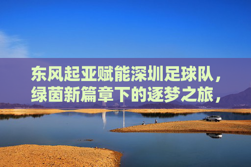 东风起亚赋能深圳足球队，绿茵新篇章下的逐梦之旅，东风起亚赋能深圳足球队，绿茵新篇章下的逐梦之旅