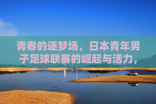 青春的逐梦场，日本青年男子足球联赛的崛起与活力，青春的逐梦场，日本青年男子足球联赛的崛起与活力