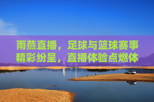 雨燕直播，足球与篮球赛事精彩纷呈，直播体验点燃体育热情