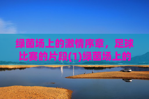 绿茵场上的激情序章，足球比赛的片段(1)绿茵场上的激情序章，足球比赛的片段(1)