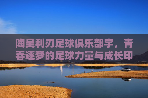 陶吴利刃足球俱乐部宇，青春逐梦的足球力量与成长印记，陶吴利刃足球俱乐部，青春逐梦的足球力量与成长印记