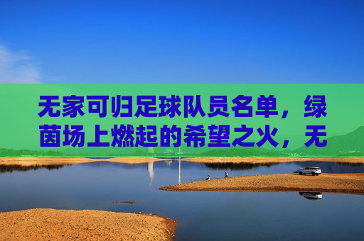 无家可归足球队员名单，绿茵场上燃起的希望之火，无家可归足球队员名单，绿茵场上燃起的希望之火