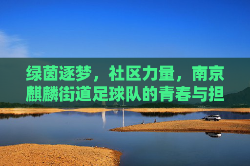 绿茵逐梦，社区力量，南京麒麟街道足球队的青春与担当，绿茵逐梦，社区力量，南京麒麟街道足球队的青春担当