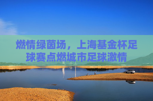 燃情绿茵场，上海基金杯足球赛点燃城市足球激情