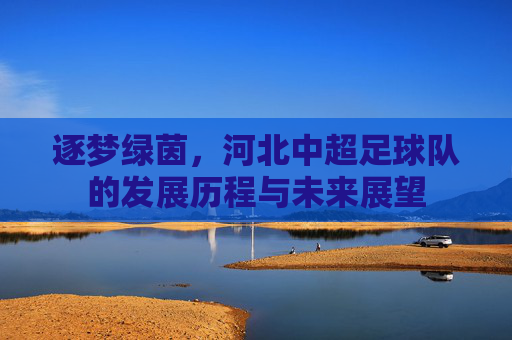 逐梦绿茵,河北中超足球队的发展历程与未来展望