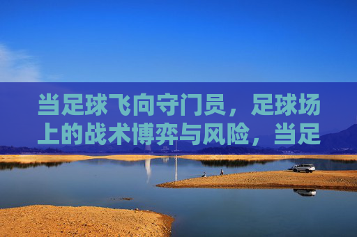当足球飞向守门员，足球场上的战术博弈与风险，当足球飞向守门员，足球场上的战术博弈与风险