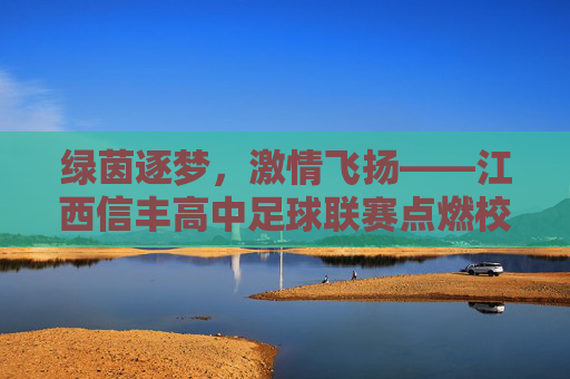 绿茵逐梦，激情飞扬——江西信丰高中足球联赛点燃校园青春活力，绿茵逐梦，激情飞扬——江西信丰高中足球联赛点燃校园青春活力