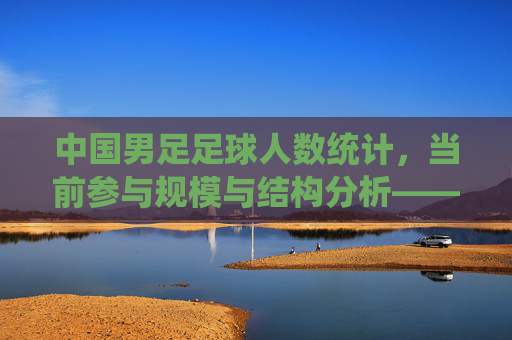 中国男足足球人数统计，当前参与规模与结构分析——基于参与人数与分布的调研，中国男子足球参与人数统计，规模与结构分析——基于参与人数及分布的调研