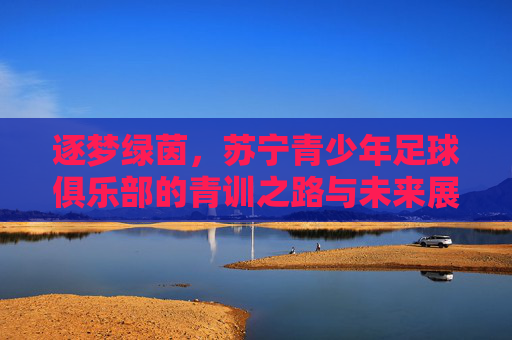 逐梦绿茵，苏宁青少年足球俱乐部的青训之路与未来展望，逐梦绿茵，苏宁青少年足球俱乐部的青训之路与未来展望