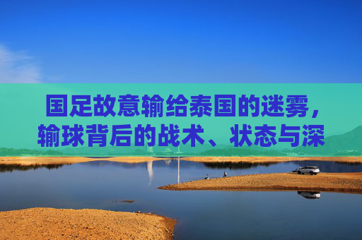 国足故意输给泰国的迷雾，输球背后的战术、状态与深层考量，国足输给泰国的迷雾，战术失当、状态疲软与深层考量的剖析