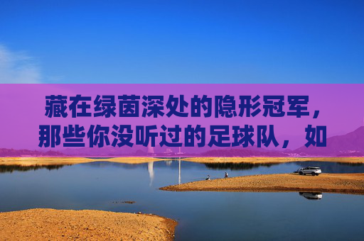 藏在绿茵深处的隐形冠军,那些你没听过的足球队,如何用热爱定义足球
