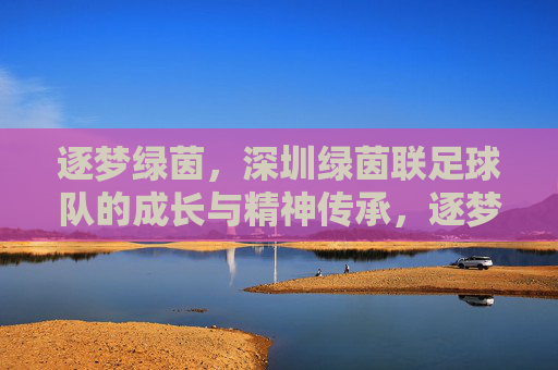 逐梦绿茵,深圳绿茵联足球队的成长与精神传承,逐梦绿茵,深圳绿茵联足球队的成长与精神传承