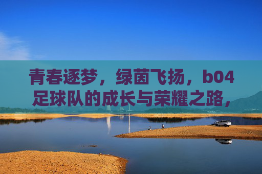 青春逐梦，绿茵飞扬，b04足球队的成长与荣耀之路，青春逐梦，绿茵飞扬，b04足球队的成长与荣耀之路