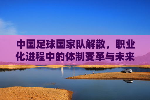 中国足球国家队解散,职业化进程中的体制变革与未来挑战,中国足球国家队解散,职业化进程中的体制变革与未来挑战