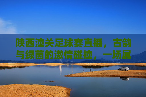 陕西潼关足球赛直播，古韵与绿茵的激情碰撞，一场属于时代的体育盛宴