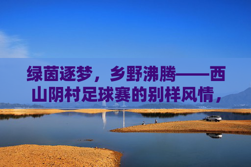 绿茵逐梦，乡野沸腾——西山阴村足球赛的别样风情，绿茵逐梦，乡野沸腾——西山阴村足球赛的别样风情