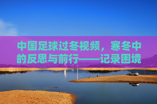 中国足球过冬视频,寒冬中的反思与前行——记录困境与寻找出路
