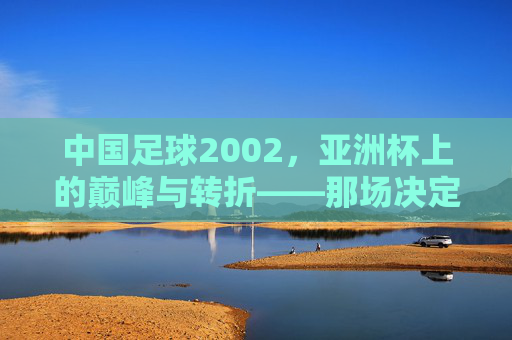 中国足球2002,亚洲杯上的巅峰与转折——那场决定中国足坛命运的1/4决赛