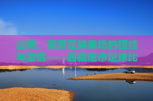 山南，高原足球赛场的团结与激情——西藏地市足球比赛的亮丽篇章