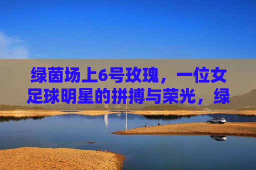 绿茵场上6号玫瑰,一位女足球明星的拼搏与荣光,绿茵场上6号玫瑰,一位女足球明星的拼搏与荣光