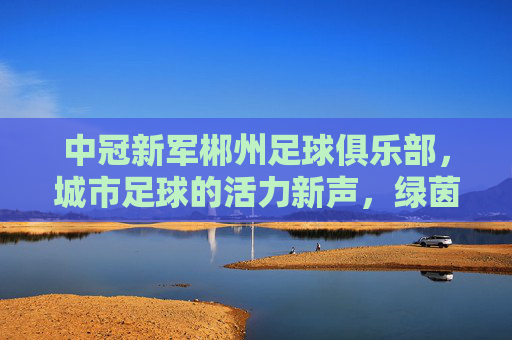 中冠新军郴州足球俱乐部,城市足球的活力新声,绿茵场上的郴州故事